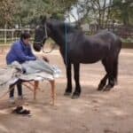 Alte ative Healing Therapy
