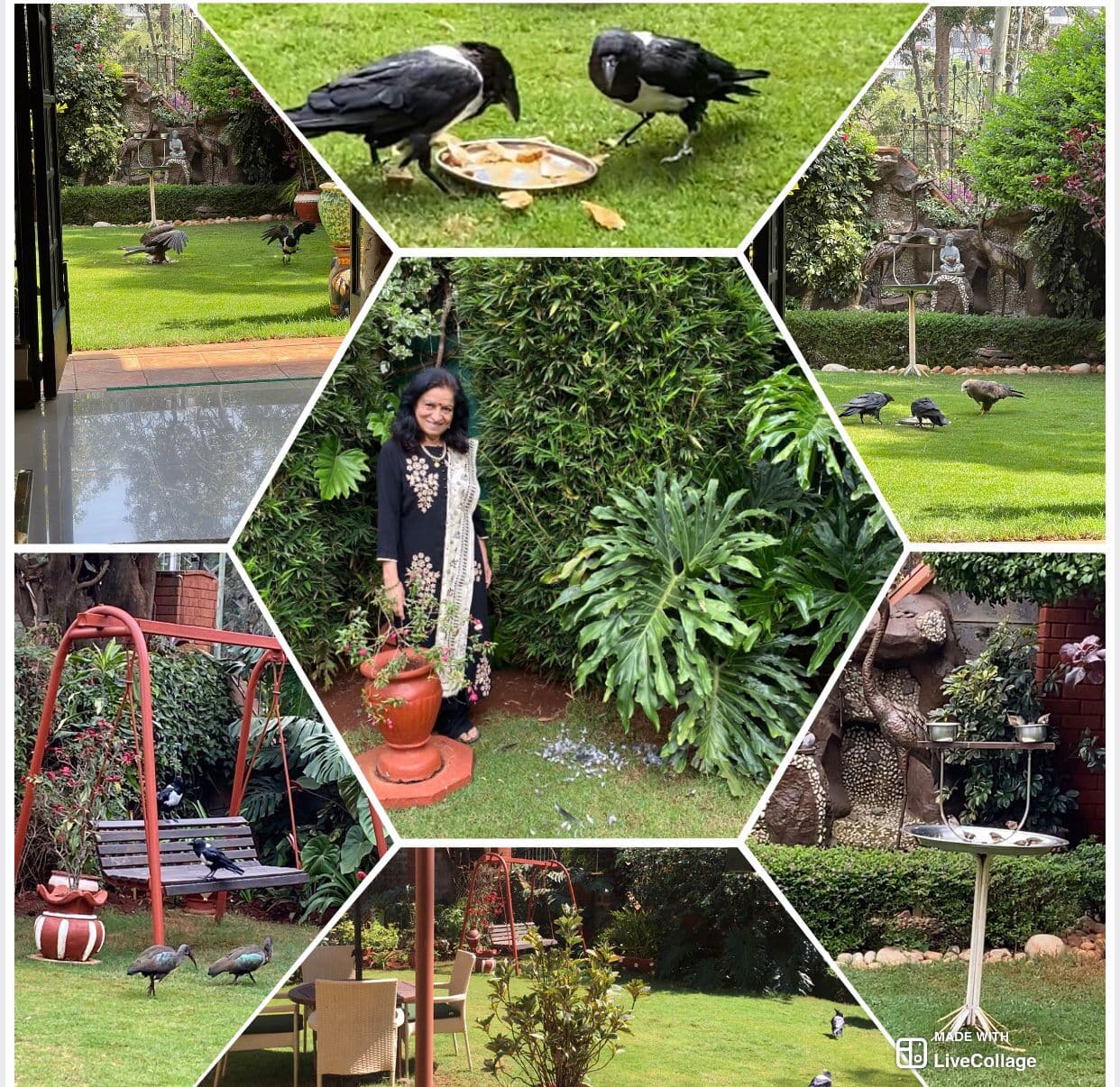 Dr. Prabha Choksey cover image
